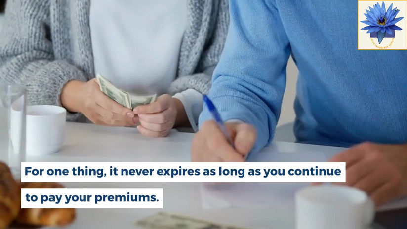 What is Better Term or Whole Life Insurance